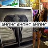 реклама у блоггера Марина Магги реклама у блоггера Марина Магги