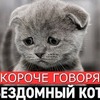 фотография rambukaplay фотография rambukaplay