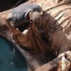 новое фото Павел Швай новое фото Павел Швай