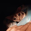 новое фото Юлия Аброскина новое фото Юлия Аброскина