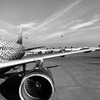 реклама у блоггера Ксения Томс реклама у блоггера Ксения Томс