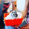 разместить рекламу в блоге Family Magic разместить рекламу в блоге Family Magic