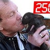 реклама у блоггера SetPos реклама у блоггера SetPos