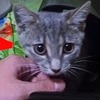 фотография vadimdab фотография vadimdab