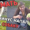 разместить рекламу в блоге Денис Сокол разместить рекламу в блоге Денис Сокол