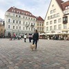 разместить рекламу в блоге Арина Костикова разместить рекламу в блоге Арина Костикова