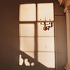лучшие фото Дарья Дацюк лучшие фото Дарья Дацюк