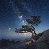 фото Настя Барашова фото Настя Барашова