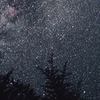 лучшие фото Саша Масюк лучшие фото Саша Масюк