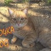 фотография pfefo4kalive фотография pfefo4kalive