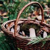 новое фото Юля Юлина новое фото Юля Юлина