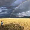 разместить рекламу в блоге Максим Титарев разместить рекламу в блоге Максим Титарев
