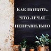 заказать рекламу у блоггера Елена Орлова заказать рекламу у блоггера Елена Орлова