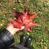 реклама у блоггера Юлия Медведева реклама у блоггера Юлия Медведева