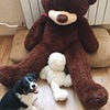 новое фото Диана Медем новое фото Диана Медем