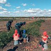 заказать рекламу у блоггера Ольга Поротикова заказать рекламу у блоггера Ольга Поротикова