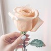 фотография Наталья Жигалко фотография Наталья Жигалко