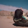 фото на странице Катерина Шпица фото на странице Катерина Шпица