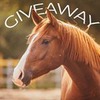 лучшие фото Юлия Дебольская лучшие фото Юлия Дебольская