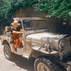 фото на странице Алена Погребняк фото на странице Алена Погребняк