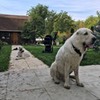 реклама в блоге Анна Акинина реклама в блоге Анна Акинина