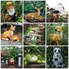 фотография Ксюн фотография Ксюн