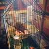 реклама в блоге Ксюн реклама в блоге Ксюн