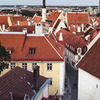 фото Екатерина Брофловски фото Екатерина Брофловски