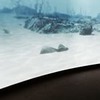 фотография Евгения Данилкова фотография Евгения Данилкова