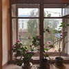 фотография Таня Минт фотография Таня Минт