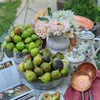 разместить рекламу в блоге Наталия Лучеззи разместить рекламу в блоге Наталия Лучеззи