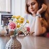 разместить рекламу в блоге Сабина Алекс разместить рекламу в блоге Сабина Алекс