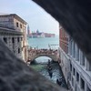 фотография Елизавета Лыскова фотография Елизавета Лыскова