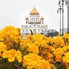 разместить рекламу в блоге Юра Ухорский разместить рекламу в блоге Юра Ухорский