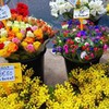 реклама на блоге Ольга Гарман реклама на блоге Ольга Гарман