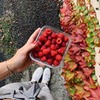 фото на странице Софи Попова фото на странице Софи Попова