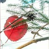 фотография Наталья Игонина фотография Наталья Игонина