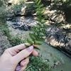 фотография Юлия фотография Юлия