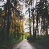 реклама на блоге Михаил Кряк реклама на блоге Михаил Кряк