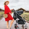 фотография Ksu Na_samokate фотография Ksu Na_samokate