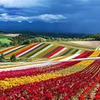 реклама у блоггера Сергей Доля реклама у блоггера Сергей Доля