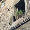 фото Елизавета Лыскова фото Елизавета Лыскова