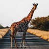 фото Саша Левин фото Саша Левин