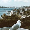 фотография Елена Чигарева фотография Елена Чигарева
