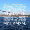 лучшие фото Света Sz_fit_yoga лучшие фото Света Sz_fit_yoga