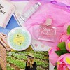 фотография Roxys Сhoice фотография Roxys Сhoice