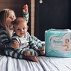 фотография Диана Бастерс фотография Диана Бастерс