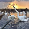 разместить рекламу в блоге Александра Лебедева разместить рекламу в блоге Александра Лебедева