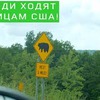 реклама у блоггера sergeydolya реклама у блоггера sergeydolya