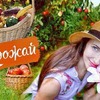 разместить рекламу в блоге lucky_myrrr разместить рекламу в блоге lucky_myrrr
